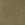 Coyote Brown